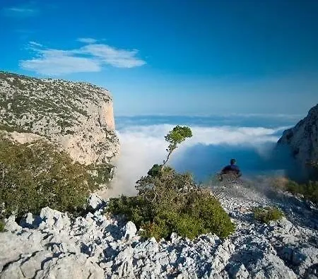 Il Carrubo & 펜션 *