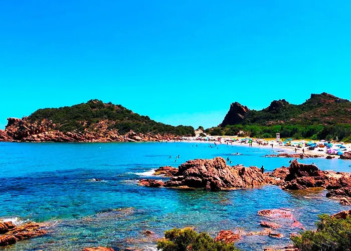 Il Carrubo & 巴里萨尔多