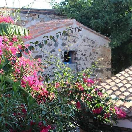 Holiday home Il Carrubo & Bari Sardo
