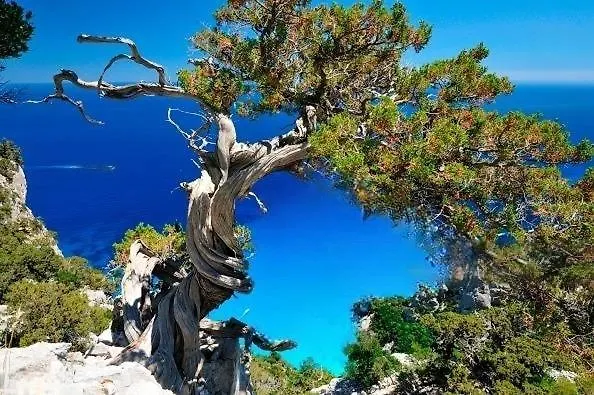 Ferienhaus Il Carrubo &